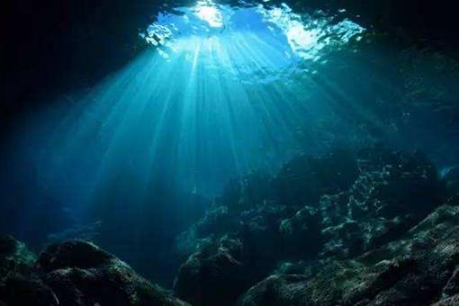 网络配图 网络配图