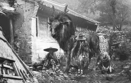 网络配图 网络配图