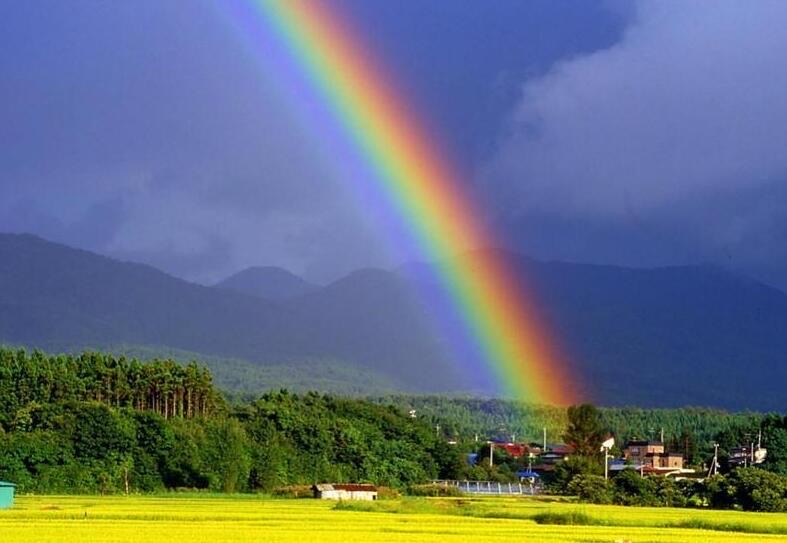 网络配图 网络配图