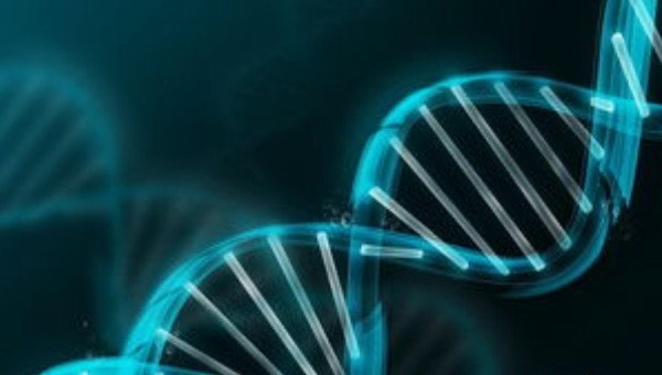 网络配图 网络配图