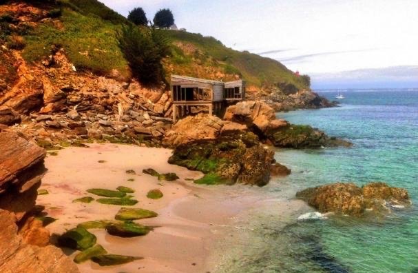 网络图片(侵删) 网络图片(侵删)