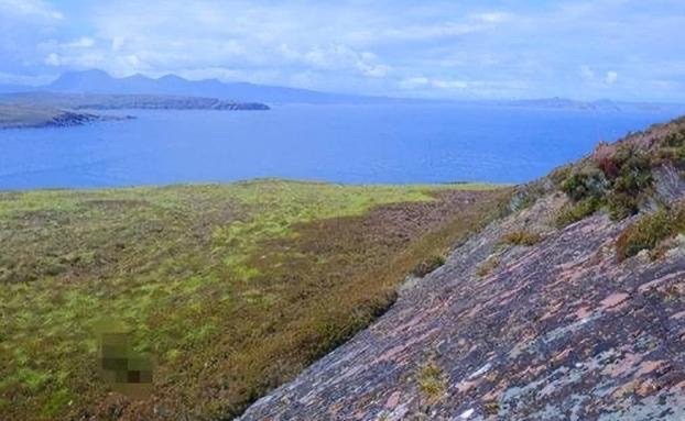 网络图片(侵删) 网络图片(侵删)