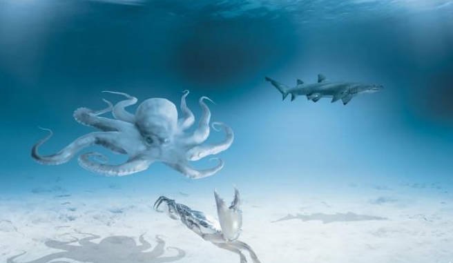 网络图片(侵删) 网络图片(侵删)