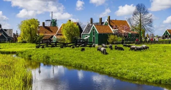 网络图片(侵删) 网络图片(侵删)