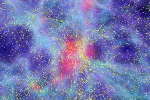 网络图片(侵删) 网络图片(侵删)