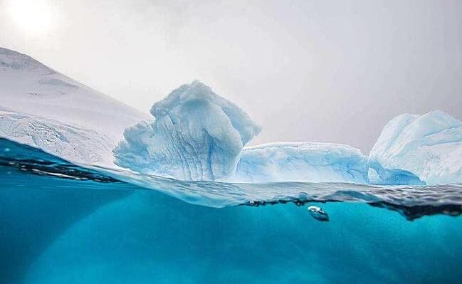 网络图片(侵删) 网络图片(侵删)