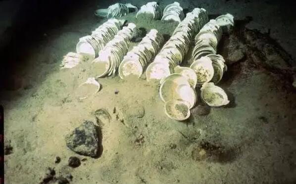 网络图片(侵删) 网络图片(侵删)