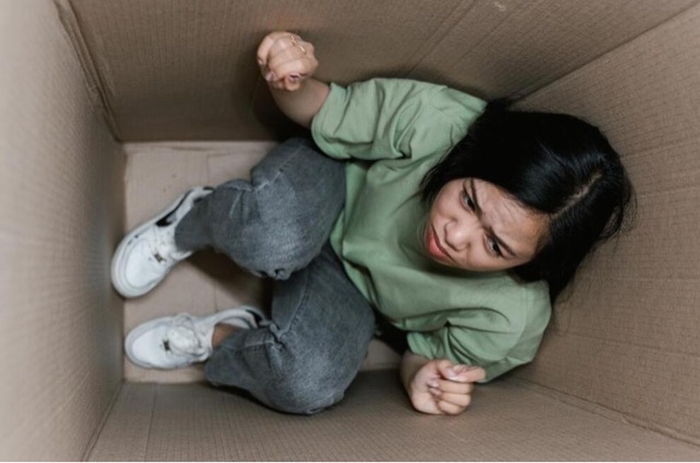 网络图片(侵删) 网络图片(侵删)