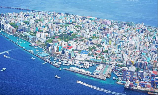 网络图片(侵删) 网络图片(侵删)