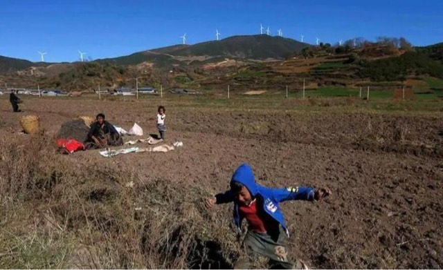 网络图片(侵删) 网络图片(侵删)