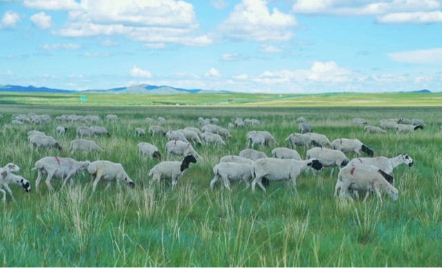 网络图片(侵删) 网络图片(侵删)