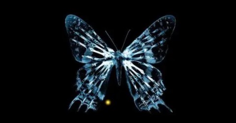 网络图片(侵删) 网络图片(侵删)