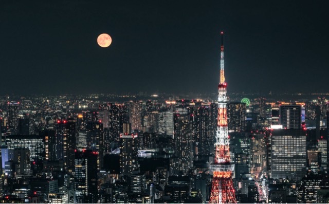 网络图片(侵删) 网络图片(侵删)