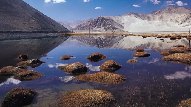 网络图片(侵删) 网络图片(侵删)