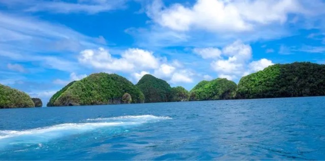 网络图片(侵删) 网络图片(侵删)