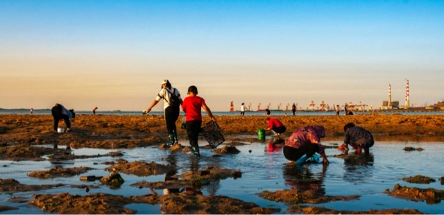 网络图片(侵删) 网络图片(侵删)