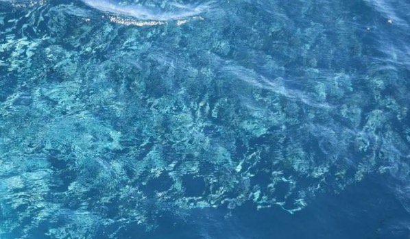 网络图片(侵删) 网络图片(侵删)