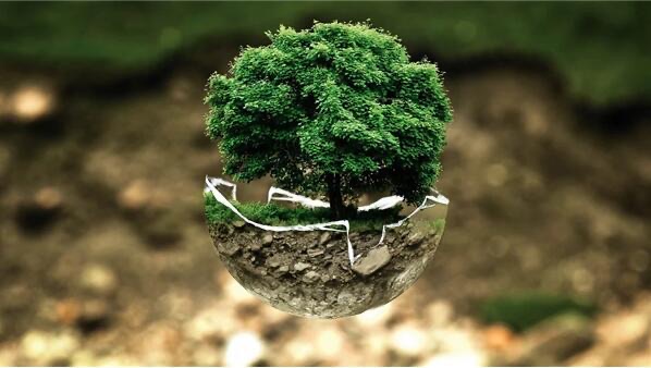 网络图片(侵删) 网络图片(侵删)