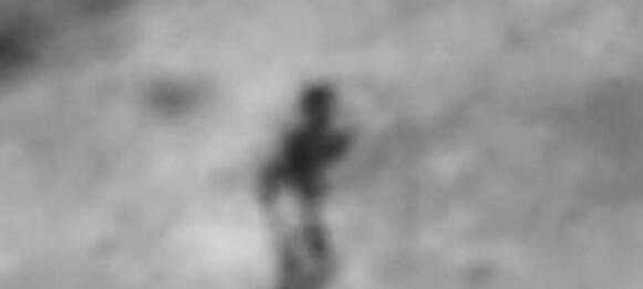 网络图片(侵删) 网络图片(侵删)