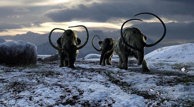 网络图片(侵删) 网络图片(侵删)