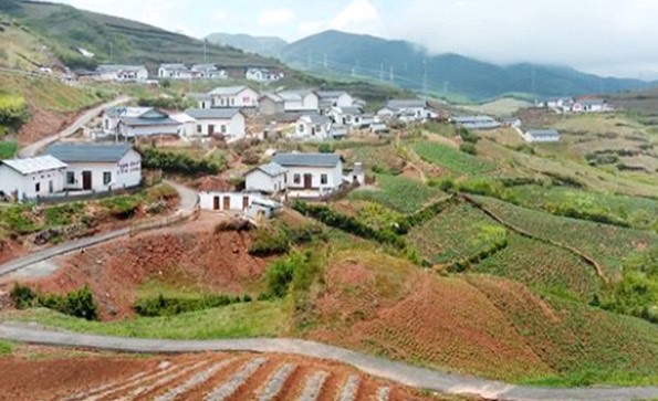 网络图片(侵删) 网络图片(侵删)