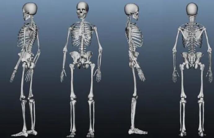 网络图片(侵删) 网络图片(侵删)