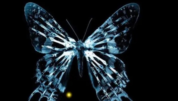 网络图片(侵删) 网络图片(侵删)