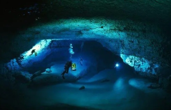 网络图片(侵删) 网络图片(侵删)