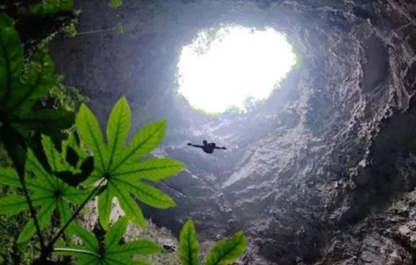 网络图片(侵删) 网络图片(侵删)