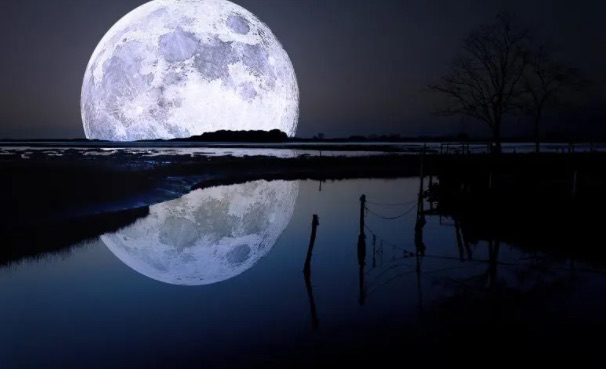 网络图片(侵删) 网络图片(侵删)