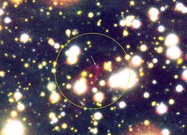 网络图片(侵删) 网络图片(侵删)