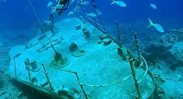 网络图片(侵删) 网络图片(侵删)