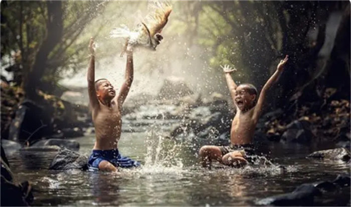 网络图片(侵删) 网络图片(侵删)