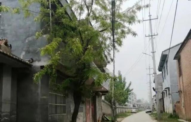 网络图片(侵删) 网络图片(侵删)