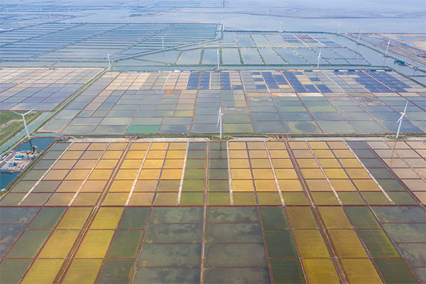 网络配图 网络配图