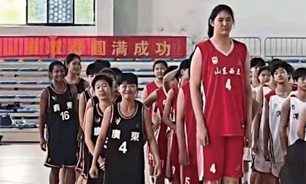 网络配图 网络配图