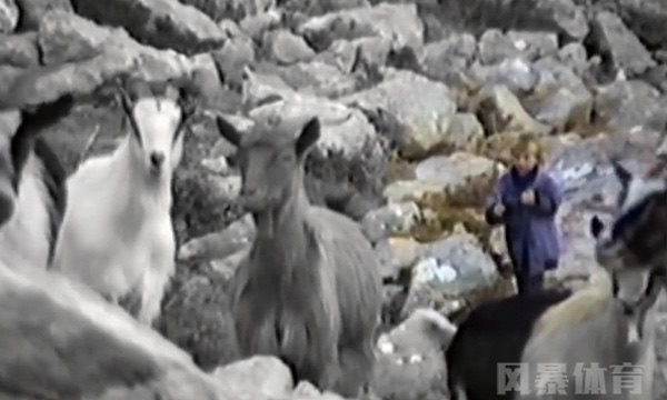 网络配图 网络配图