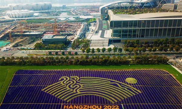 网络配图 网络配图