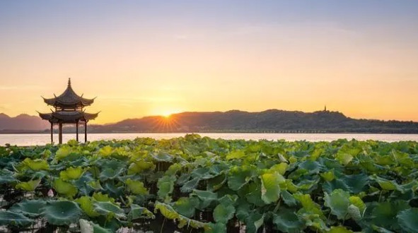 网络配图 网络配图