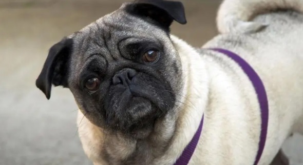 网络配图 网络配图