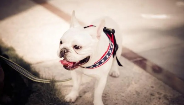 网络配图 网络配图