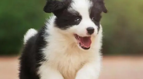 网络配图 网络配图