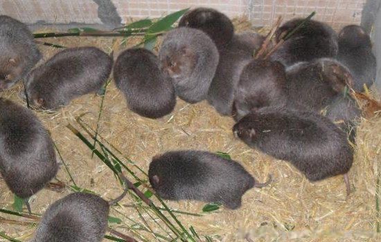 网络配图 网络配图