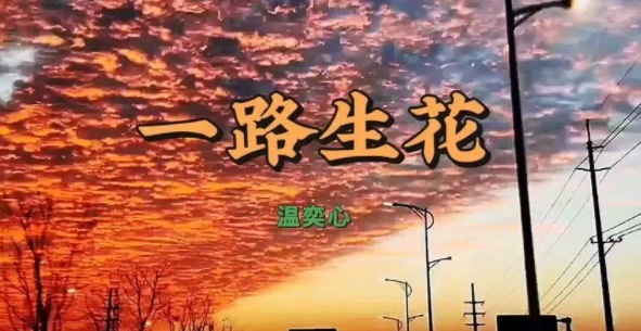 网络配图 网络配图