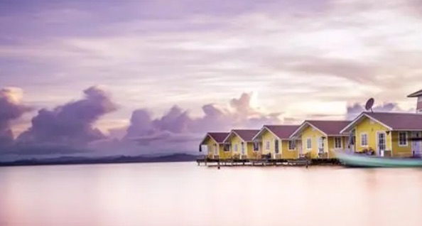 网络配图 网络配图