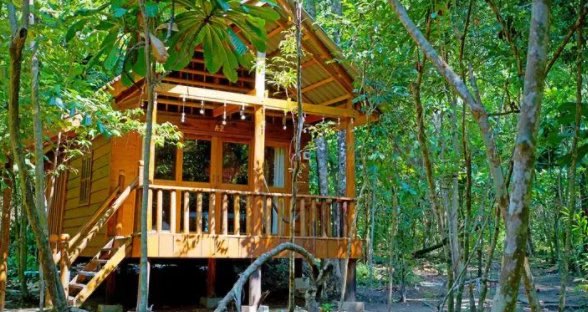 网络配图 网络配图