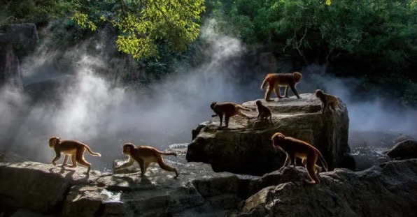 网络配图 网络配图