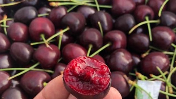 网络配图 网络配图