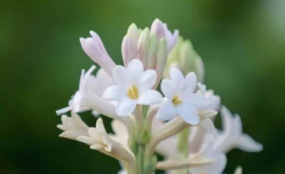 网络配图 网络配图