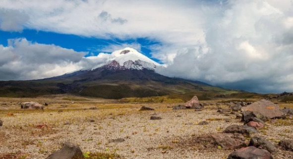 网络配图 网络配图